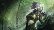 Guild Wars 2 2011-Wandkalender
